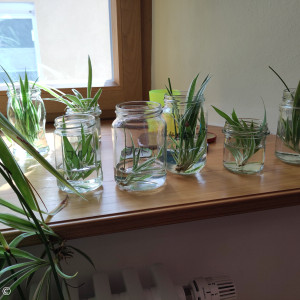 Bilder von der Kinderbibelwoche